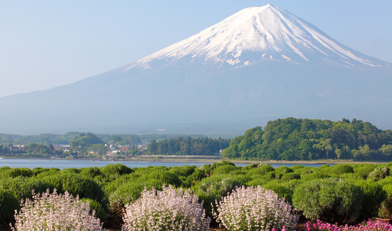 中部山梨chubu-yamanashi-gogojapan